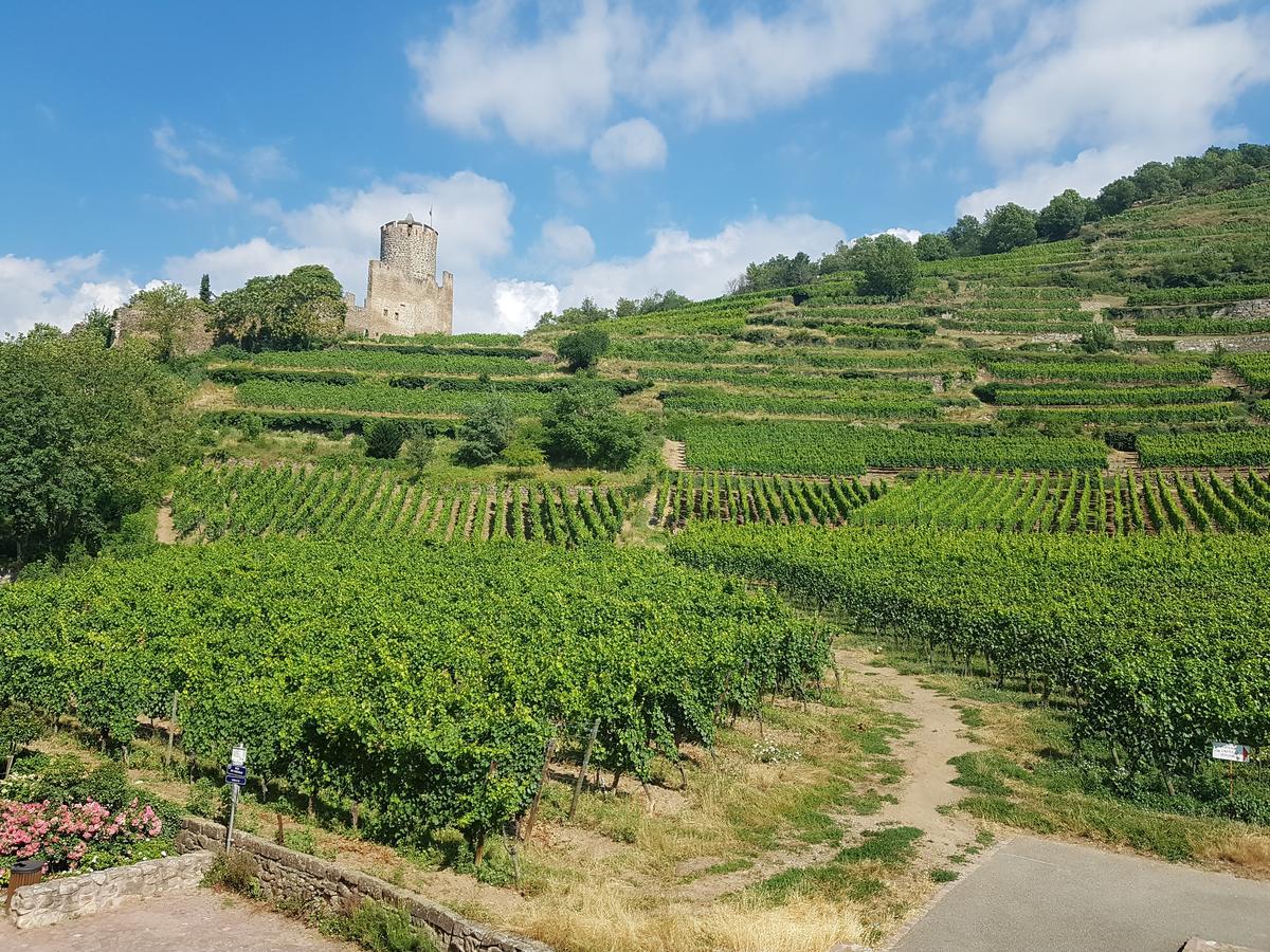 Center - Cote Vignoble - Apartment Kaysersberg-Vignoble